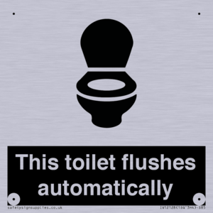 This toilet flushes automatically